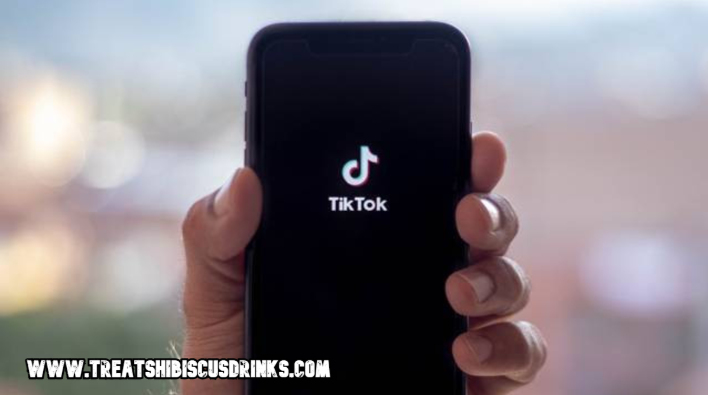 TikToker yang Menginspirasi: Bagaimana Mereka Membangun Karier dan Mempengaruhi Tren Global